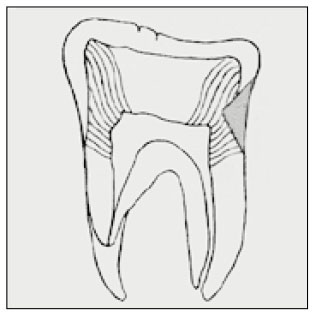 jkacd-27-257-g001.jpg