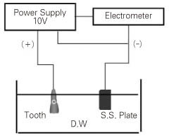 jkacd-31-452-g001.jpg