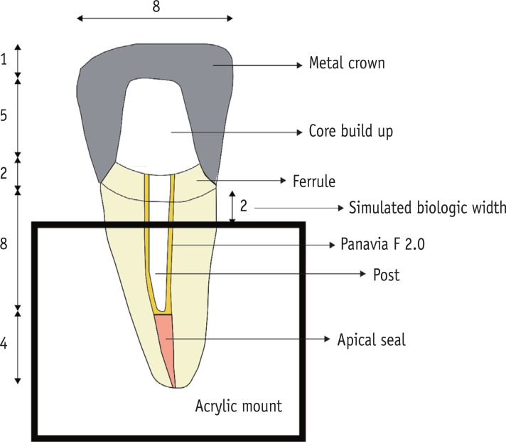 rde-40-229-g001.jpg