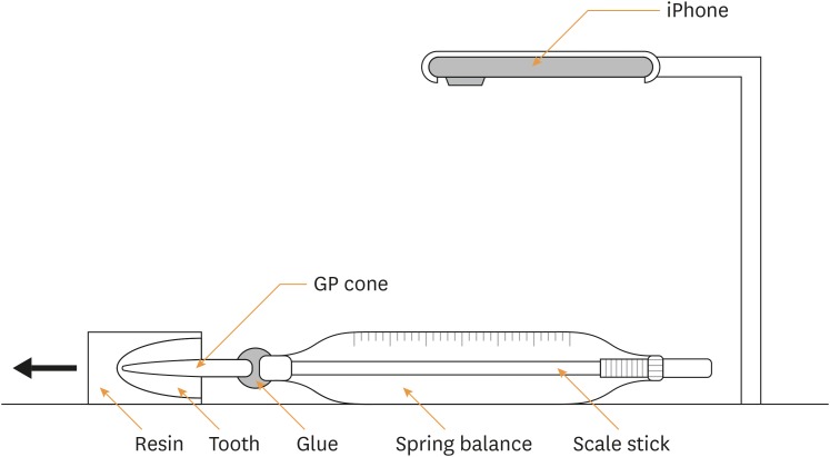 rde-42-273-g001.jpg