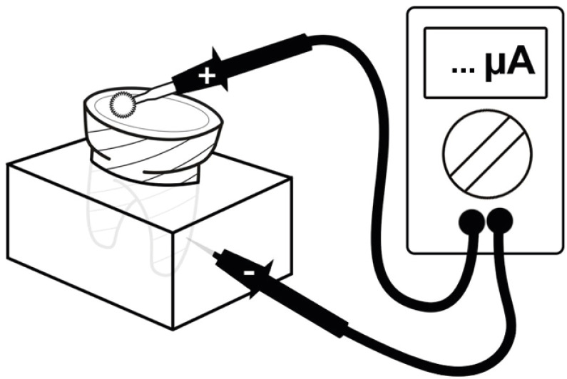 rde-46-e55-g001.jpg