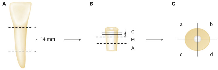 rde-47-e38-g001.jpg