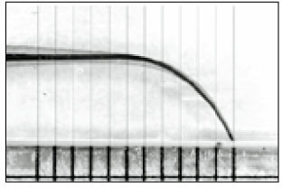 thumbnail image 2 of Endo Rotary Files Practice Block – Dental Training Model For S-Curved & Straight Canals 2 of 5