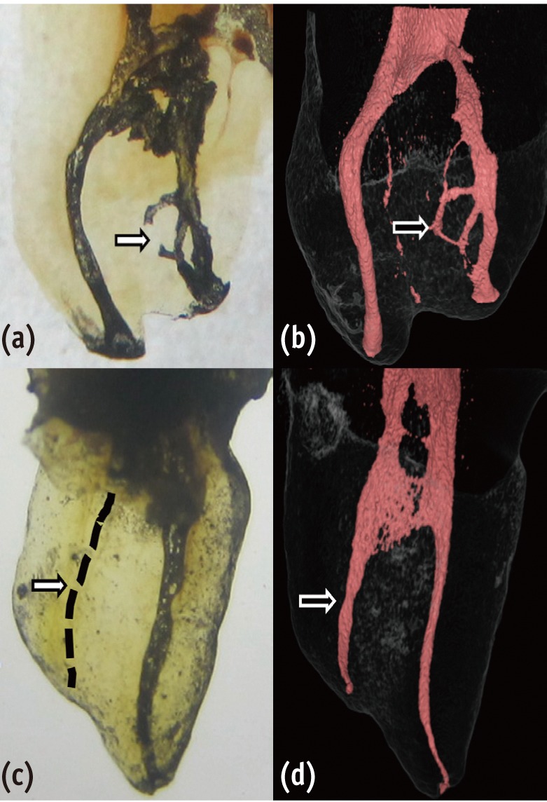 Navya nair fake nude